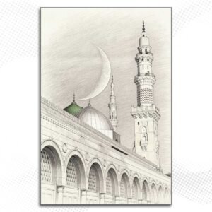 Alternative view of MD263