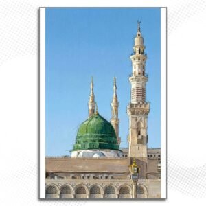 Alternative view of MD361