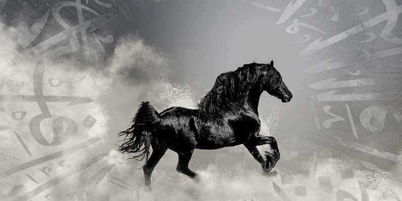 طيور وحيوانات